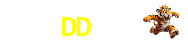 DD555